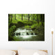 waterfall stream Wall Mural