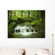 waterfall stream Wall Mural