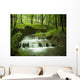 waterfall stream Wall Mural