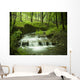 waterfall stream Wall Mural