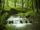 waterfall stream Wall Mural