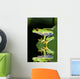 Red eye tree frog Agalycnis callidryas from Costa Rica Wall Mural