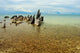 Lake Malawi Wall Mural