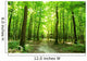 forest Wall Mural