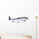 Photo of Salmon on White Background Wall Decal