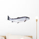 Photo of Salmon on White Background Wall Decal