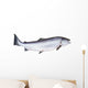 Photo of Salmon on White Background Wall Decal