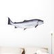 Photo of Salmon on White Background Wall Decal