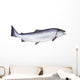 Photo of Salmon on White Background Wall Decal