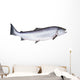 Photo of Salmon on White Background Wall Decal