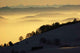 Alpenblick Wall Decal
