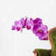 Orchid Wall Decal