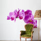 Orchid Wall Decal