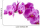 Orchid Wall Decal