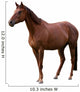Brown Horse Isolated on White Wall Decal