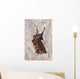 Horseshoe bat Wall Mural