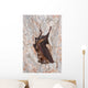 Horseshoe bat Wall Mural
