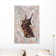 Horseshoe bat Wall Mural