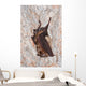 Horseshoe bat Wall Mural
