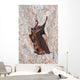 Horseshoe bat Wall Mural