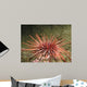 Red Sea Urchin (Strongylocentrotus franciscanus) Wall Mural