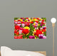 Tulip field Wall Mural