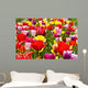 Tulip field Wall Mural