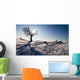 Wintersonne Wall Decal