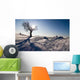 Wintersonne Wall Decal