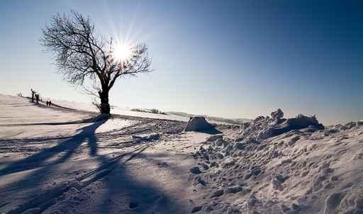 Wintersonne Wall Decal