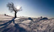 Wintersonne Wall Decal