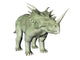 Styracosaurus Wall Decal