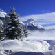 Winter Landscape Celerina Wall Decal