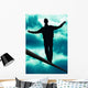 Dreamdancer Wall Mural