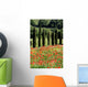 Cypress, Field of Poppies, Tuscany, Italy Wall Mural