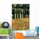 Cypress, Field of Poppies, Tuscany, Italy Wall Mural