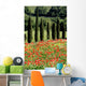 Cypress, Field of Poppies, Tuscany, Italy Wall Mural