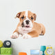 Cute puppy of English Bulldog Wall Decal