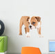 Little english bulldog puppy Wall Decal