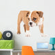 Little english bulldog puppy Wall Decal