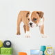 Little english bulldog puppy Wall Decal