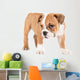 Little english bulldog puppy Wall Decal
