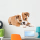 Cute puppy of English Bulldog Wall Decal