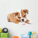Cute puppy of English Bulldog Wall Decal