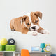 Cute puppy of English Bulldog Wall Decal