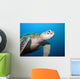 Turtle Wall Mural