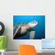 Turtle Wall Mural