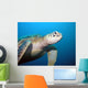 Turtle Wall Mural