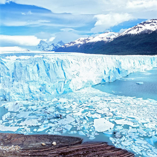 Perito Moreno Glacier, El Calafate, Los Glaciares National Park Wall Mural