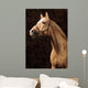 Creamy Horse Wall Mural